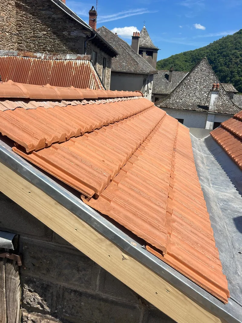 Toiture en tuiles rénovée dans un village en zone vallonnée